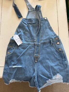 Sadie & Sage Light Blue Distressed Denim Short Overalls